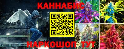 PSILOCYBIN Гусев